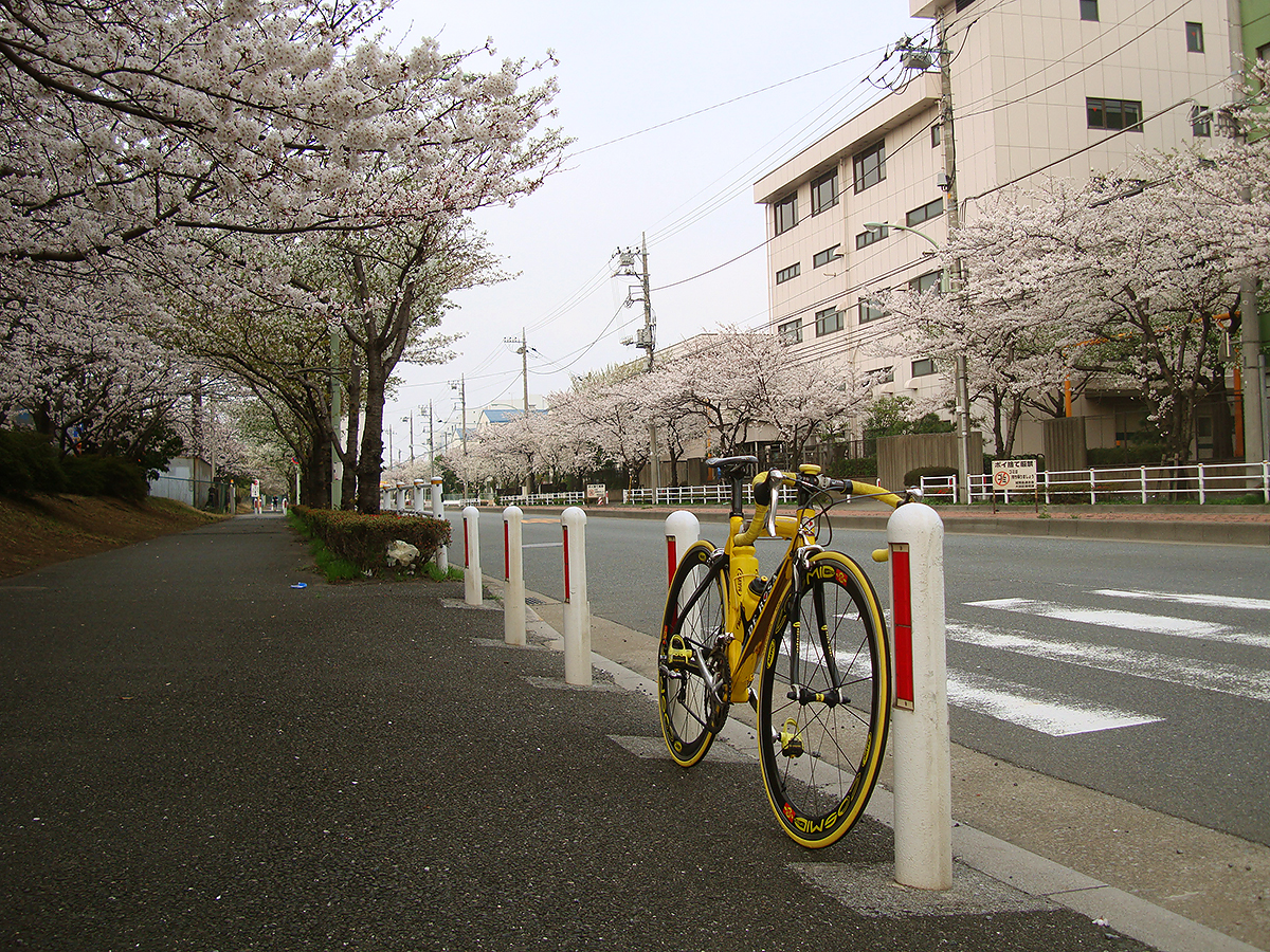 http://moritetsu.info/bicycle/img/DSC06343.jpg